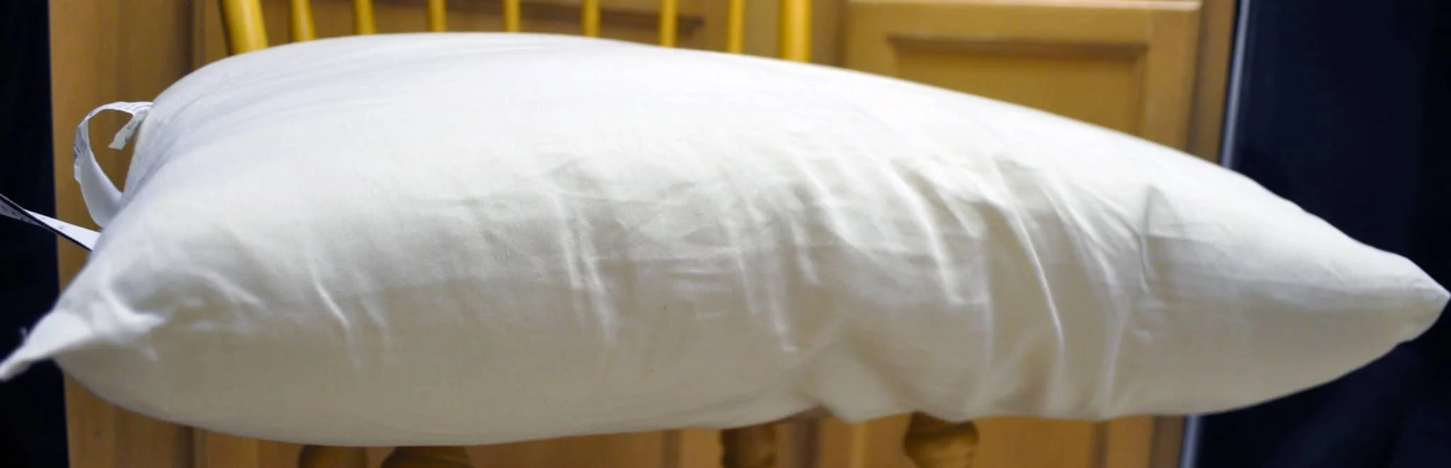 Naturepedic Organic Cotton Pillow