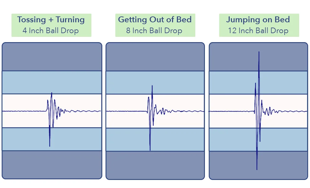 NolahSignatureMotion