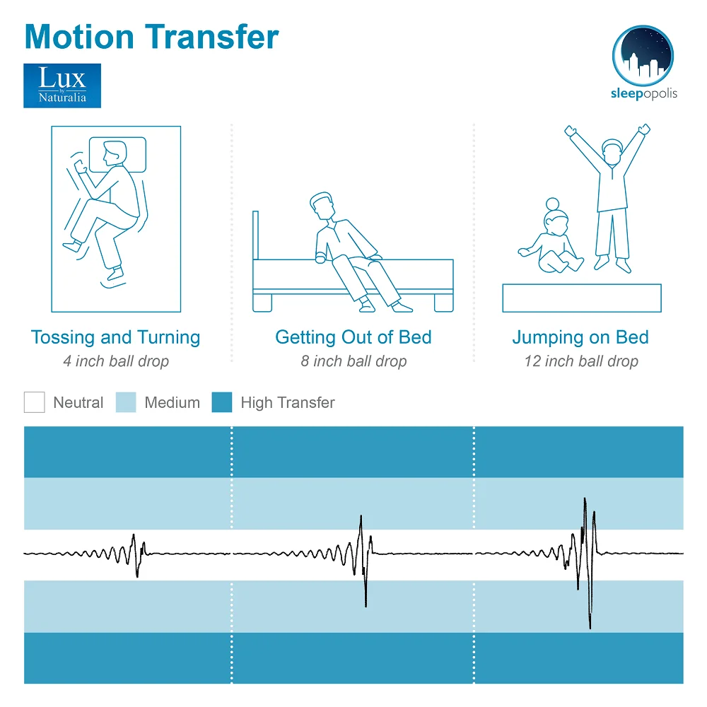 Lux Motion Transfer