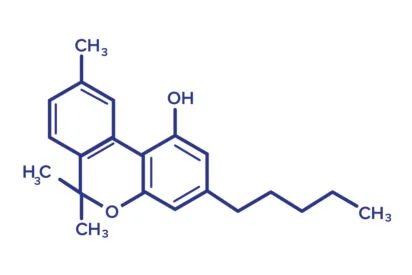 Study Shows That Cannabinol, or โSleepy Weed,โ Might Be Able to Help You Fall Asleep at Night