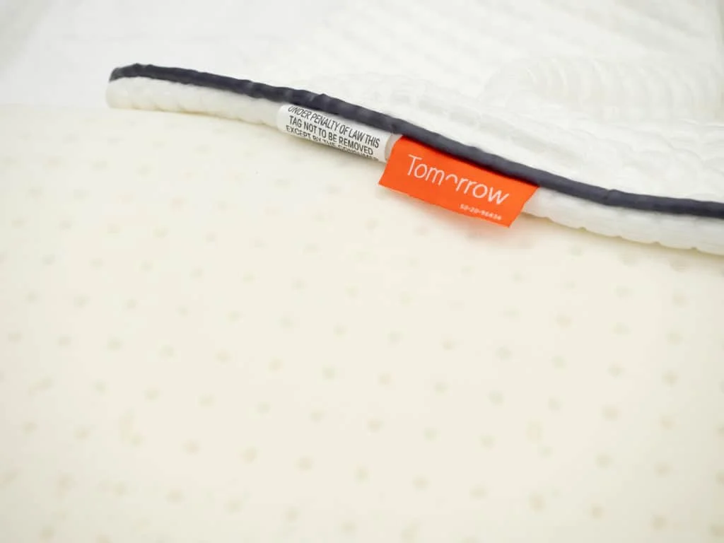 Tomorrow Pillow Fill 2