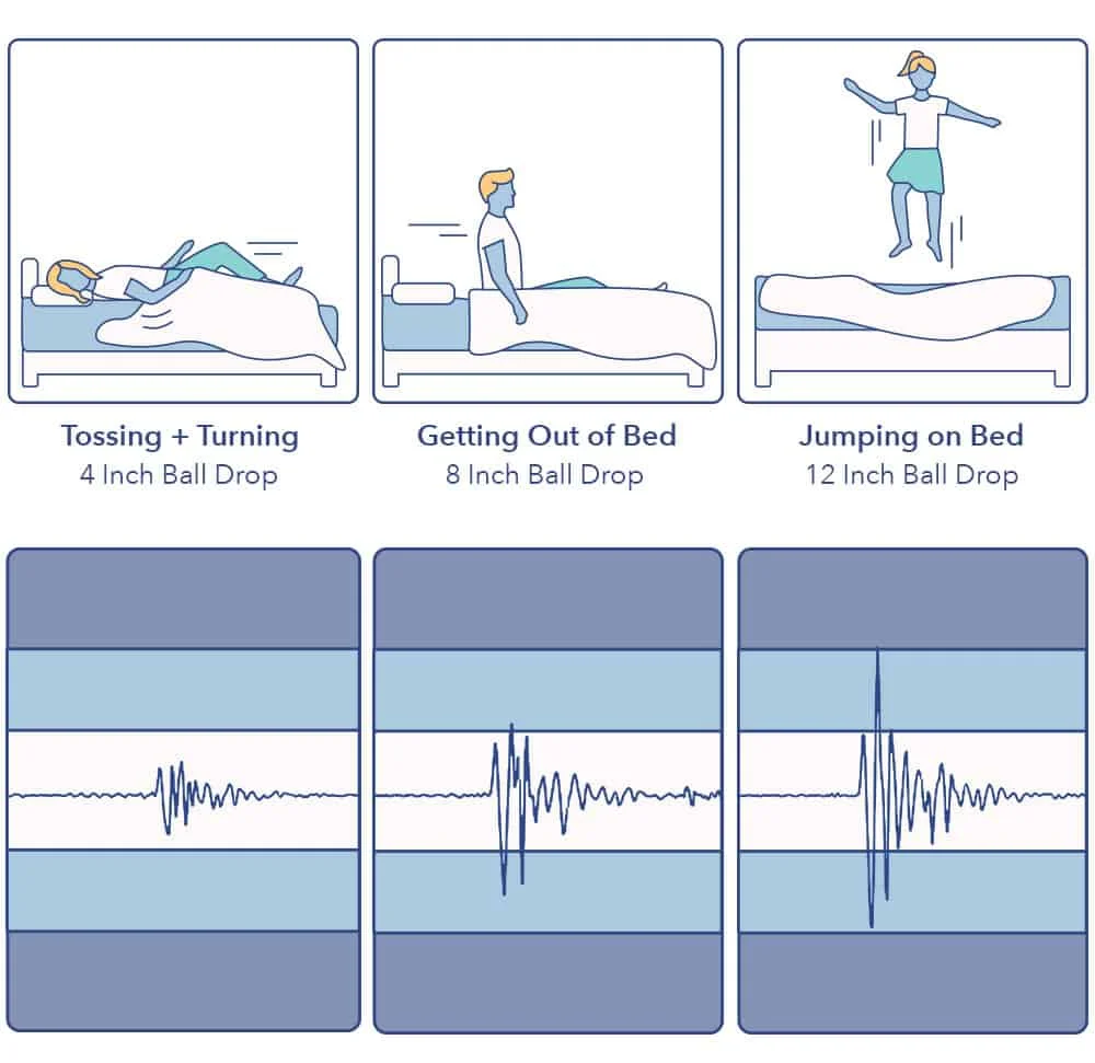 Zombiebed Motion Transfer