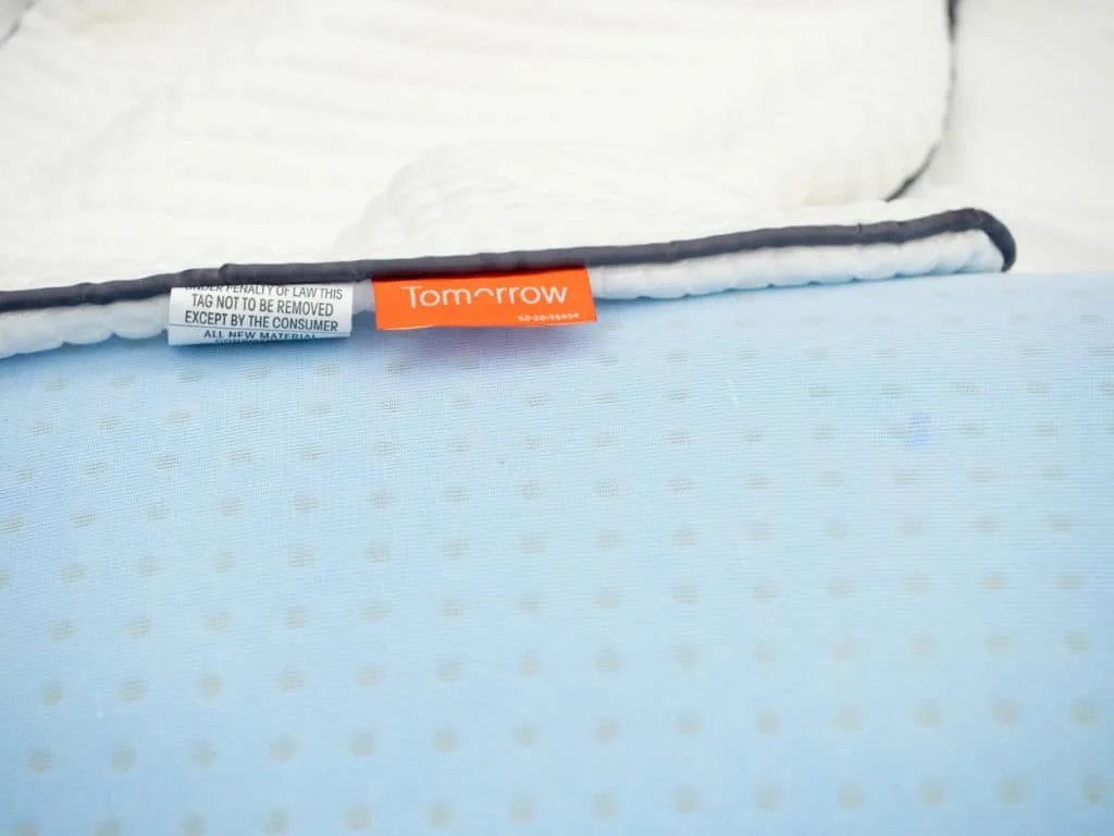 Tomorrow Pillow Fill 3