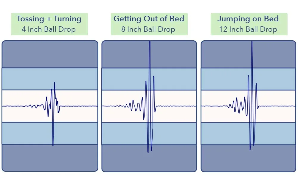 MotionTransfer Siena