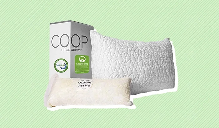 Editor’s Pick amazon pillows coop