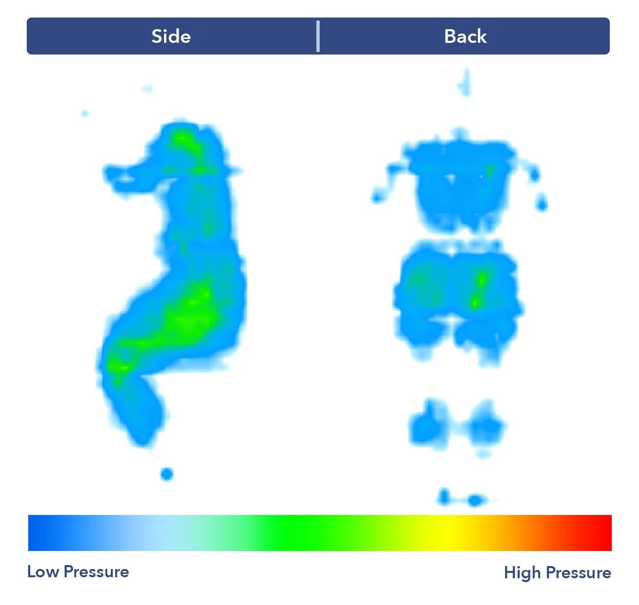 Pressure map for the Saatva Rx mattress