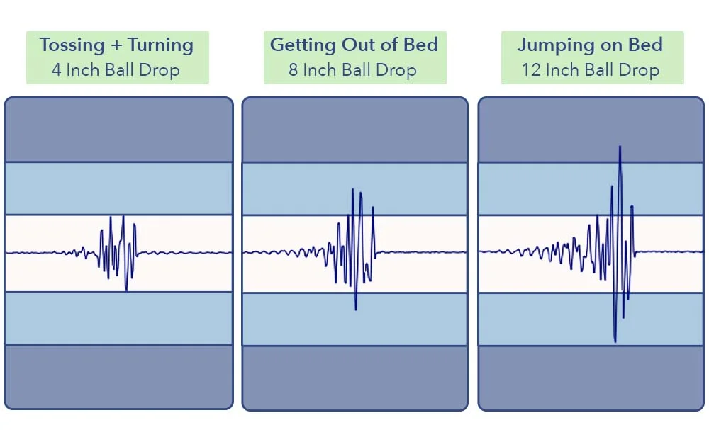 MotionTransfer DouglasAlpine