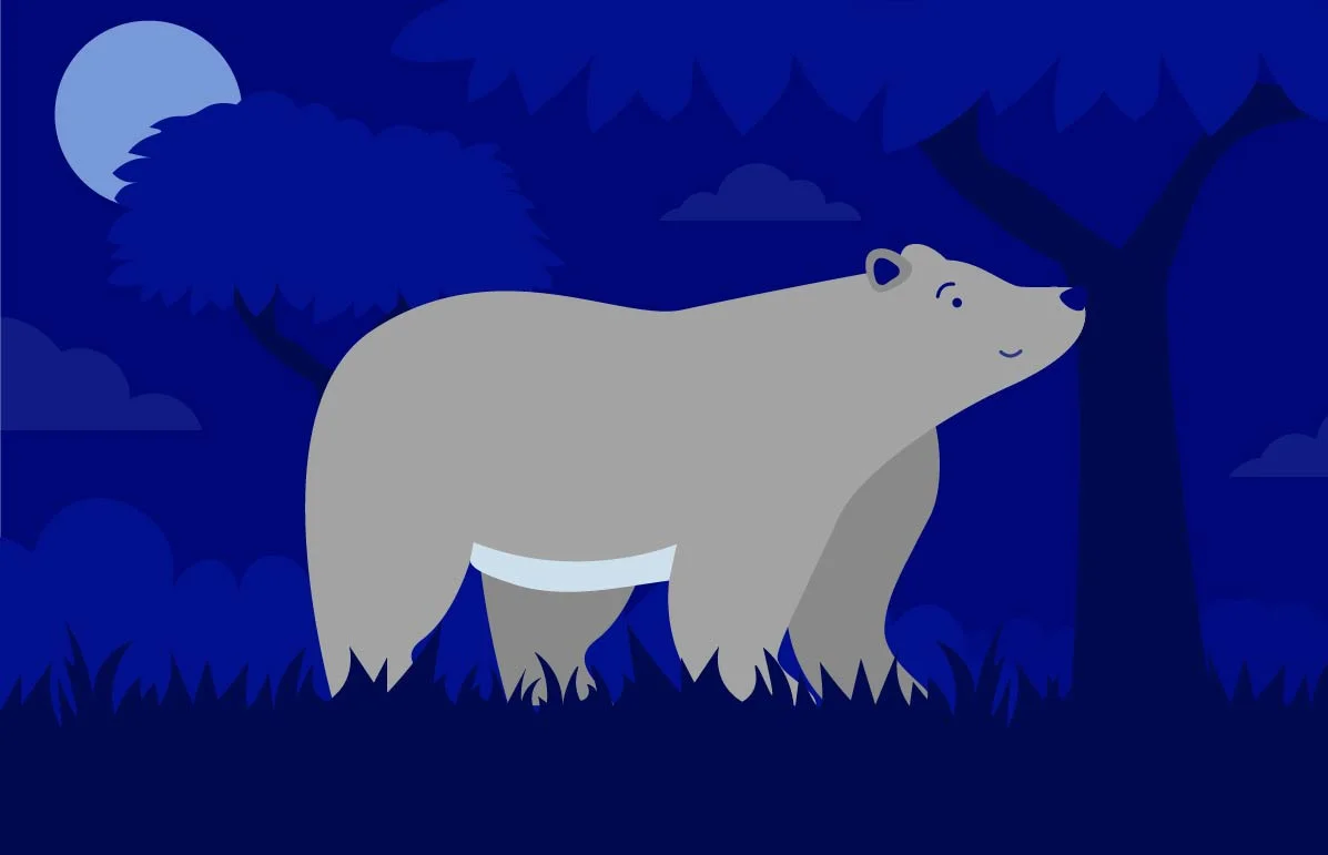 The Bear Chronotype’s Ultimate Guide