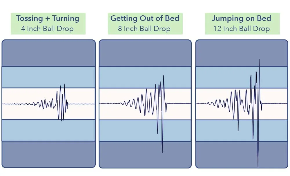 MotionTransfer NestFinch