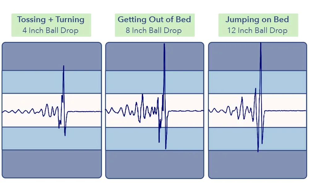 The Bliss's motion transfer results.