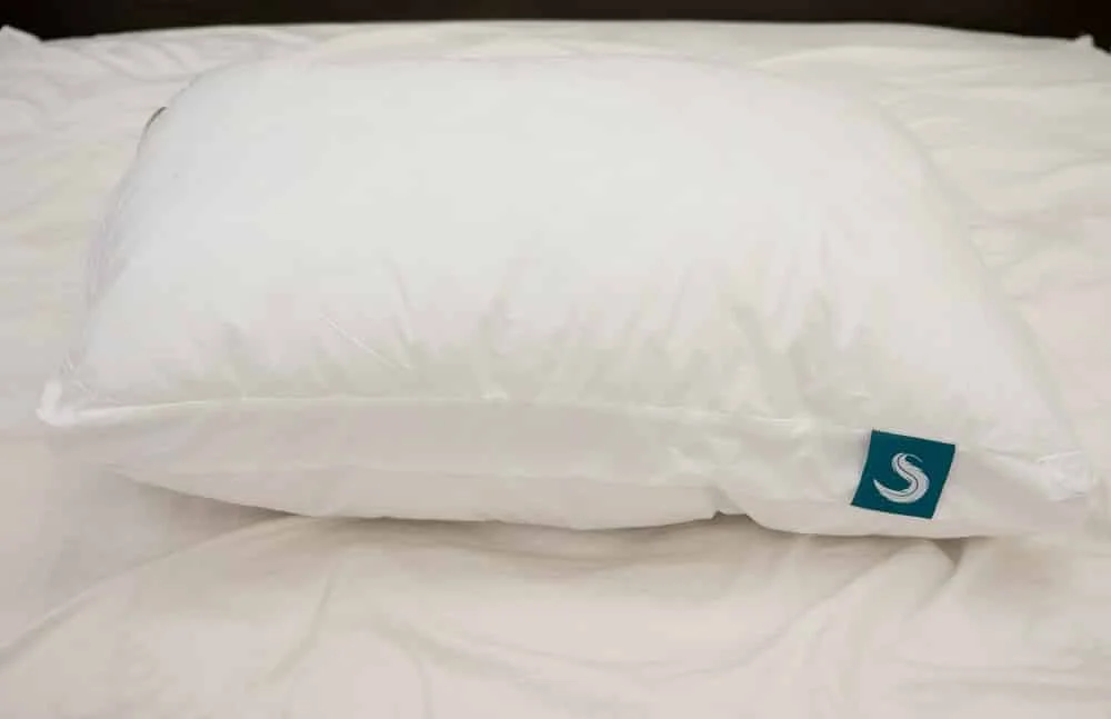 Sleepgram pillow review