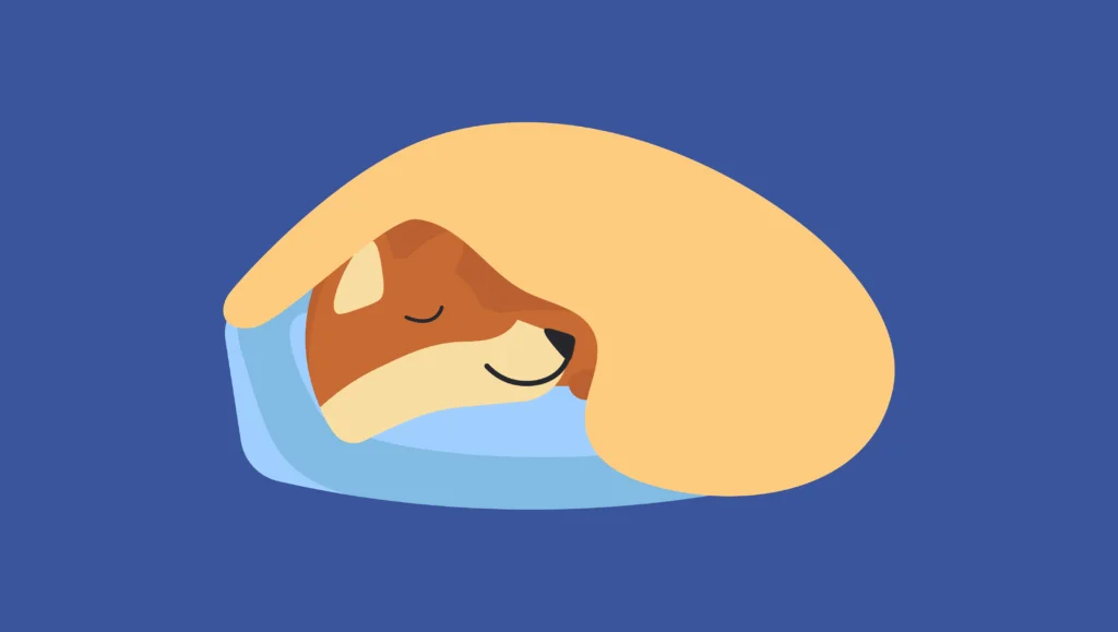 Dog Sleeping Positions 16