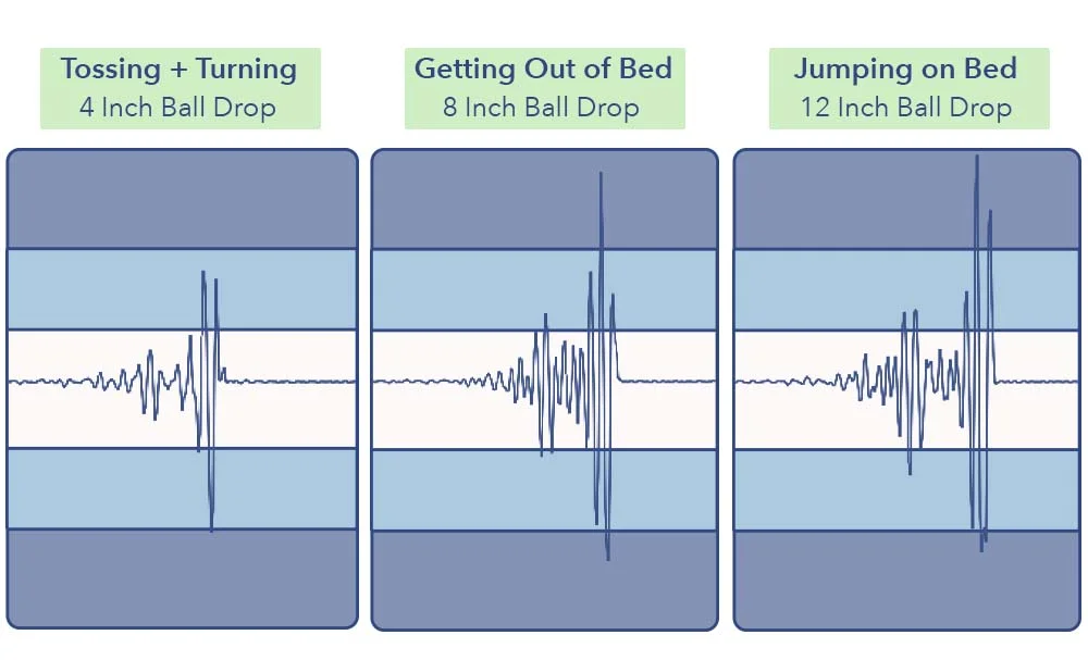 Thuma mattress motion transfer graph