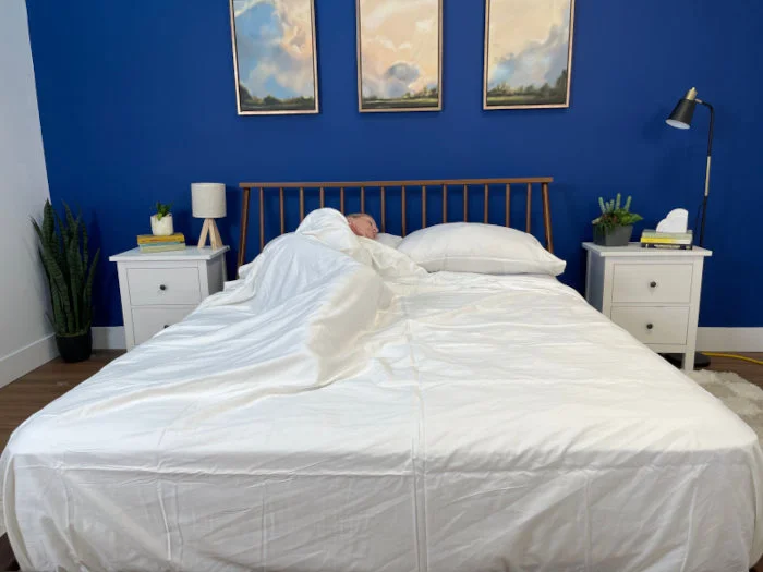 Plushbeds Bamboo Sheet Set