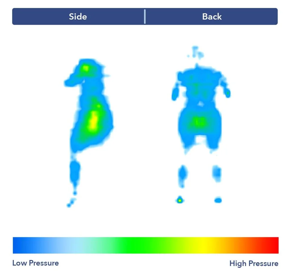 PressureMap TempurLuxeBreeze