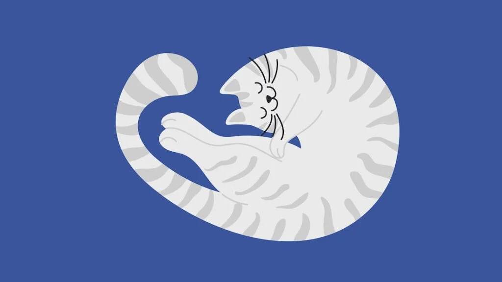 cat sleeping position pretzel