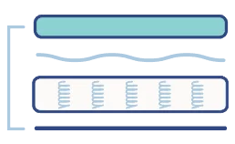 King Koil World Edition feel and comfort