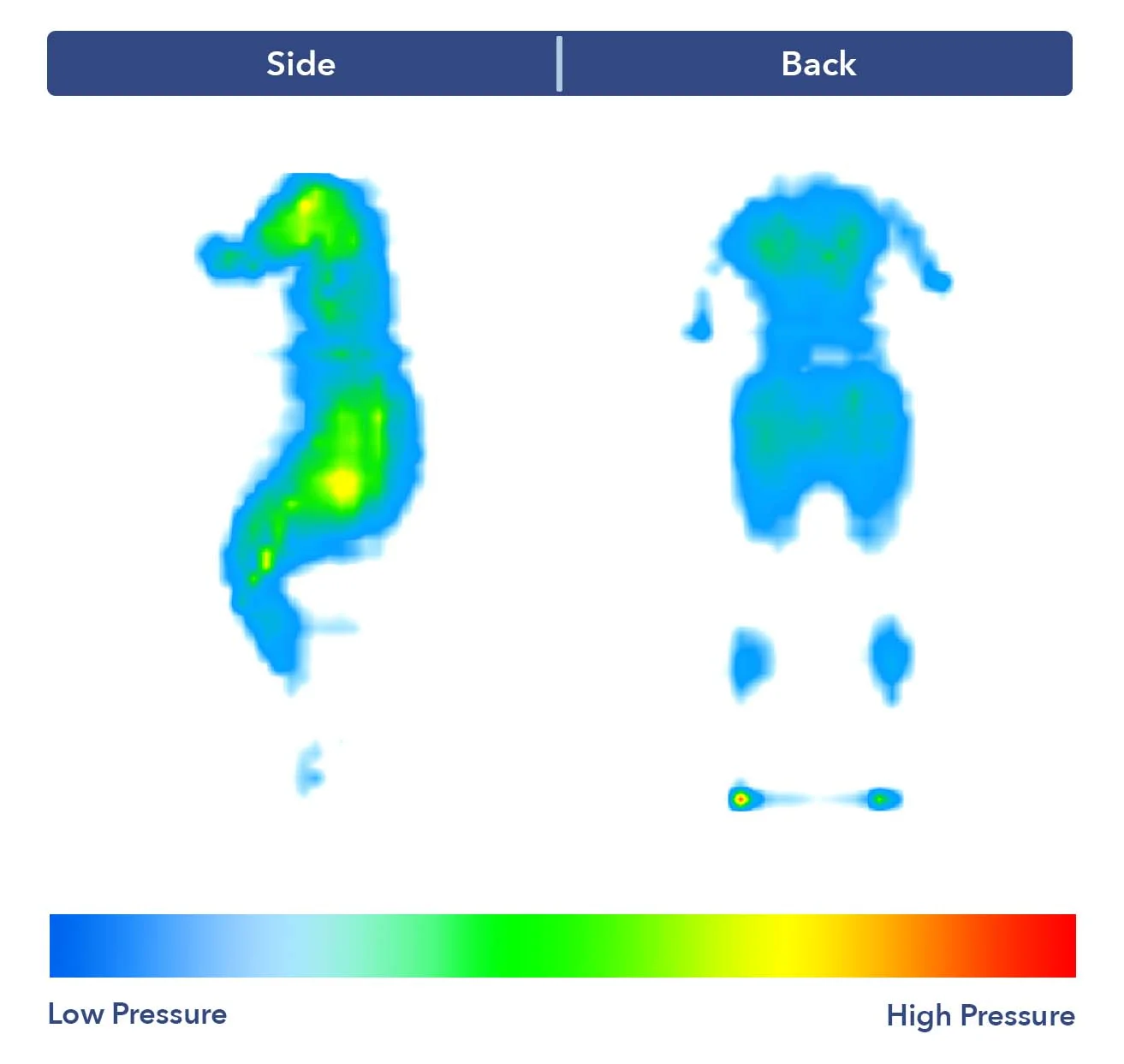 PressureMap EndyHybrid