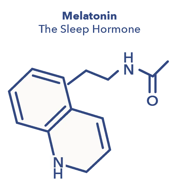 Melatonin Graphic 