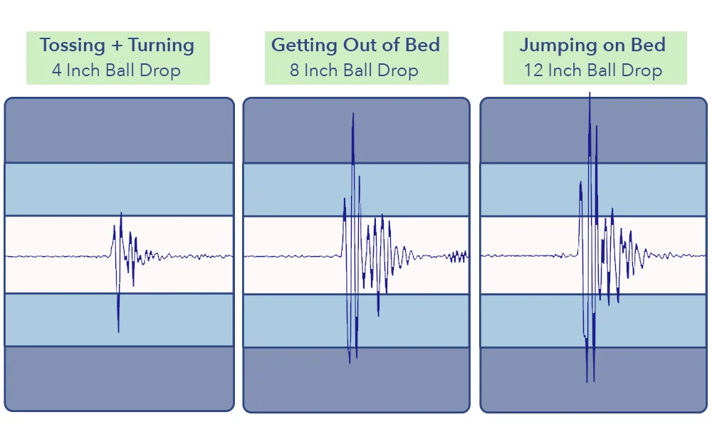 HavenRejuvenateMotionTransfer
