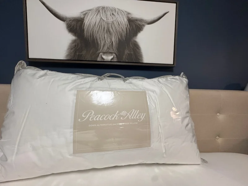 A Peacock Alley Down Pillow rests in it's packaging below a bison painting.