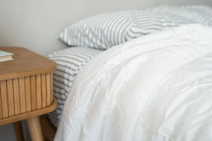 Cozy Earth Silk Comforter