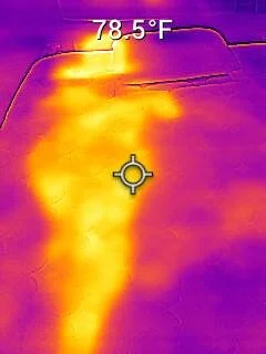 nest sparrow temp gun 2 rotated