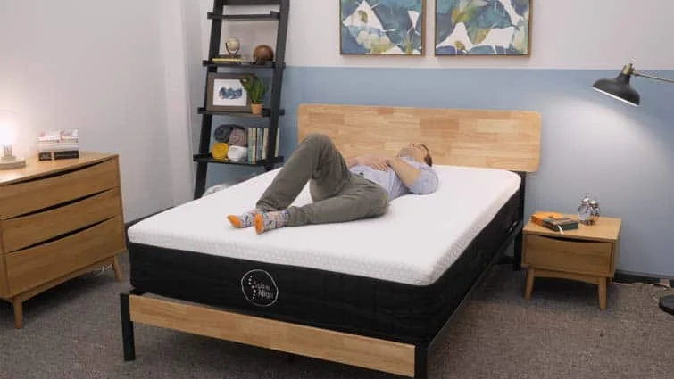 SpineAlign Hybrid Back