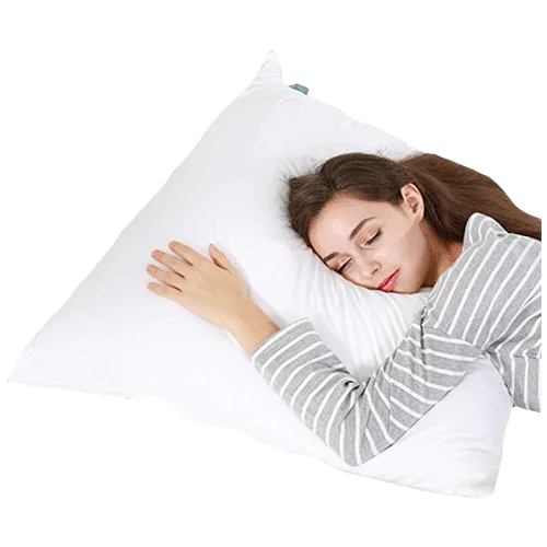 RECCI Euro Pillow