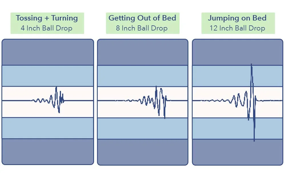 MotionTransfer Nectar