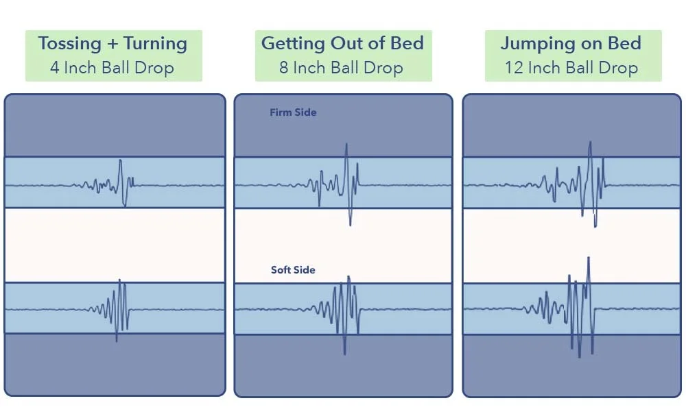 MotionTransfer Layla
