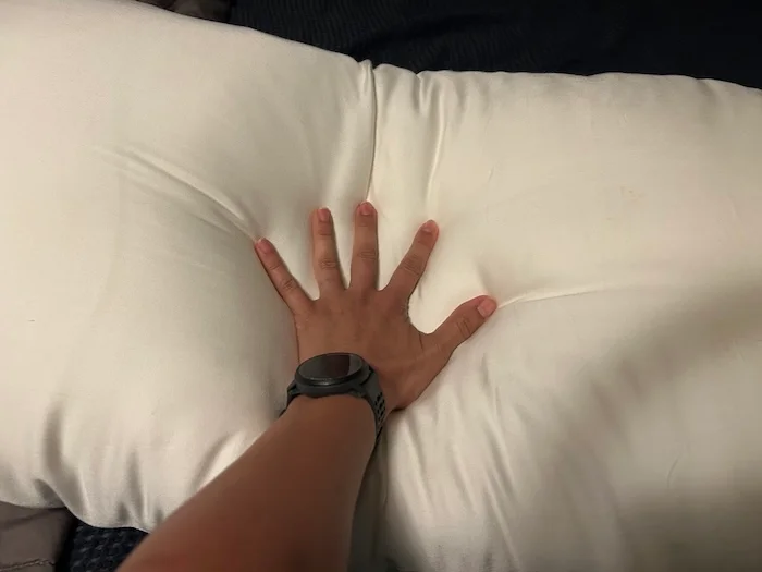 Cozy Earth Bamboo Down Alternative Body Pillow