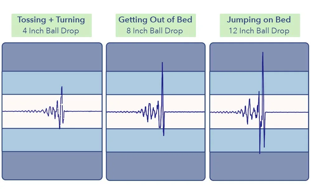 Cloverlane Foam Seismograph