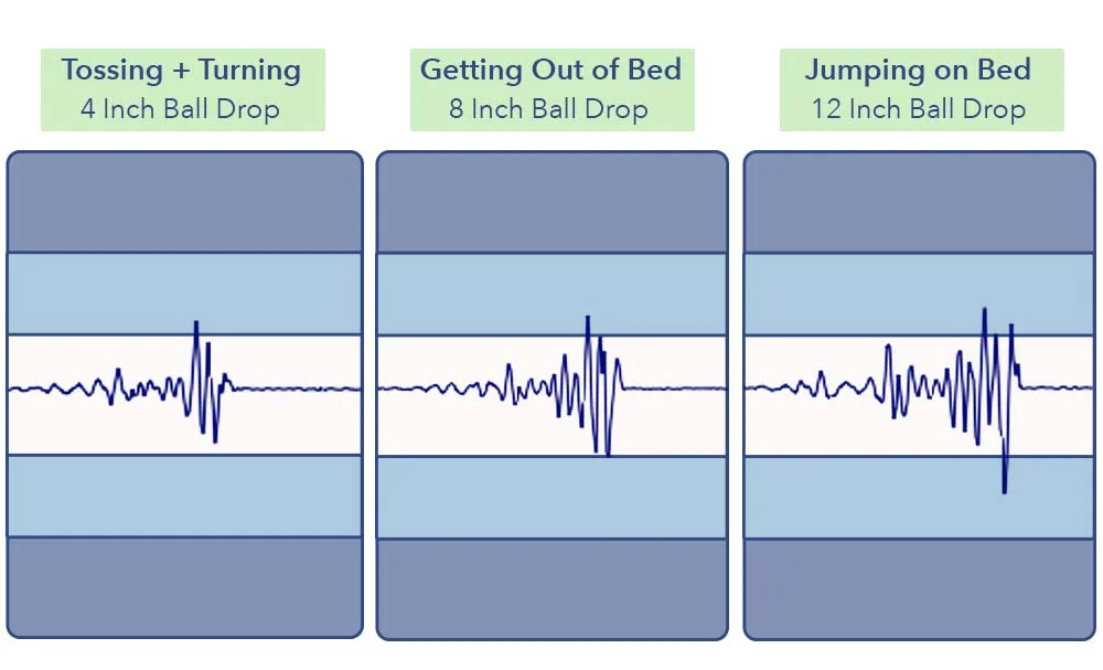 MotionTransfer BearStarHybrid
