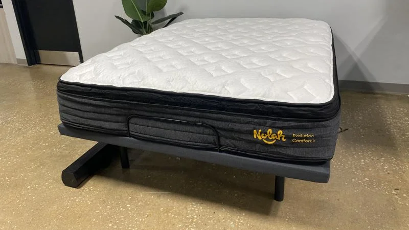 Nolah Evolution Comfort+