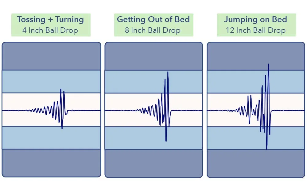 MotionTransfer NestOwl