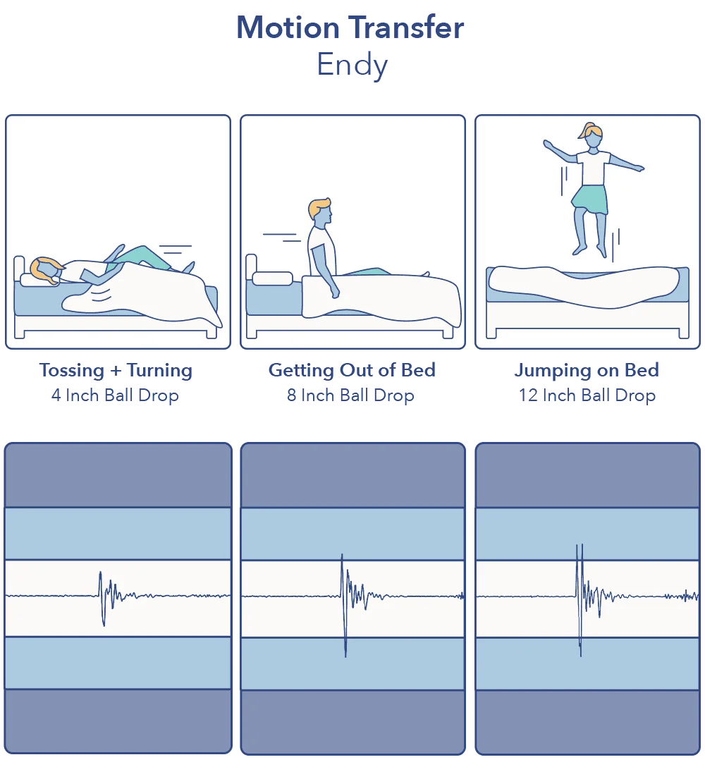 Endy Motion Transfer