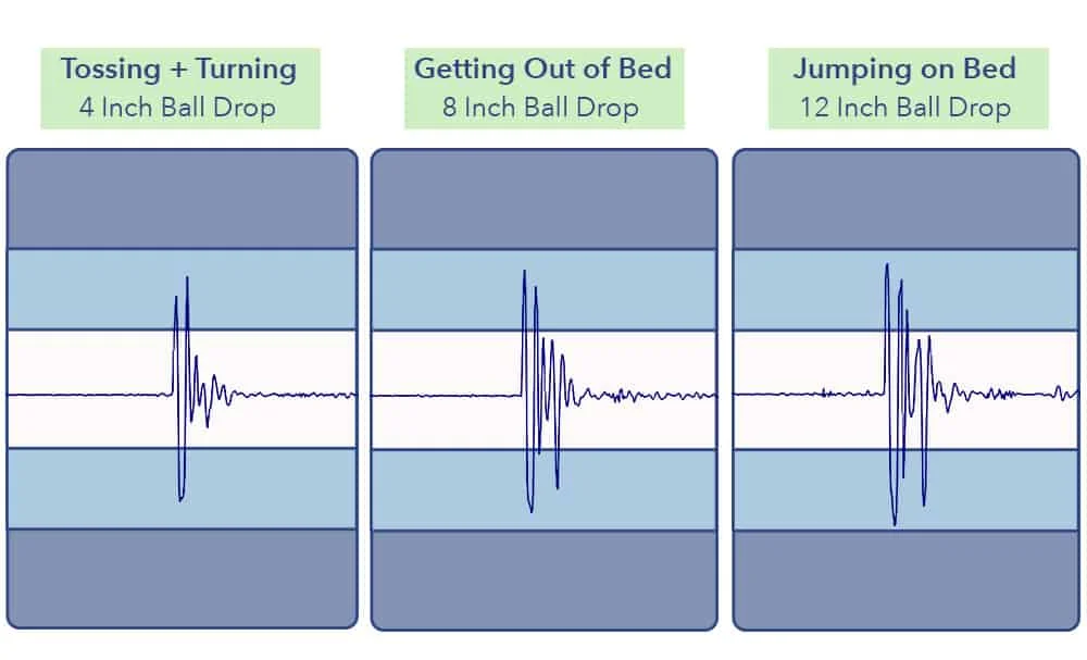GhostBed Motion Transfer