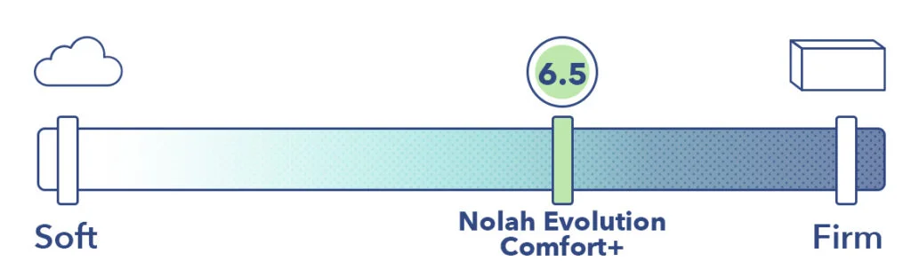 Firmness 5.5 6.5 7 7.5 8 1