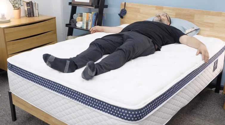 winkbed plus back sleeper