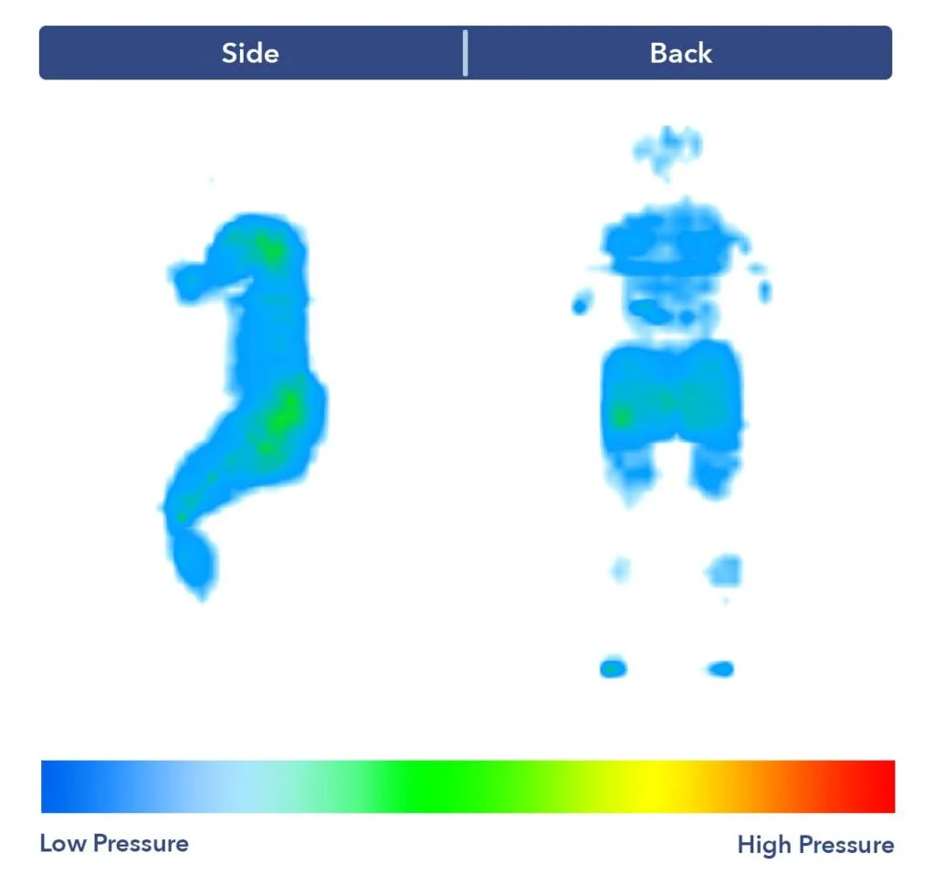 PressureMap BearProHybrid