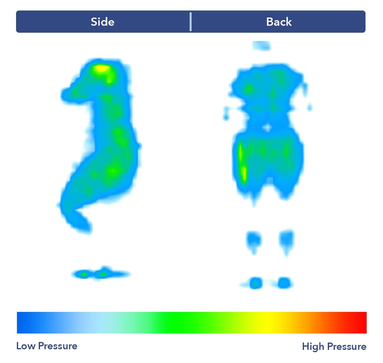 Casper mattress pressure map