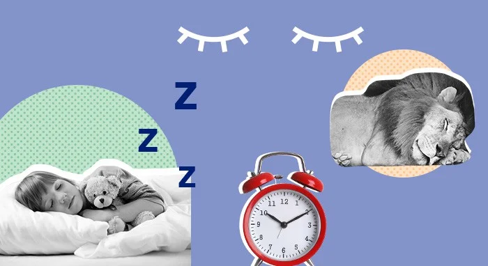 SO_SleepEdu_WhatisSleep_featuredimage