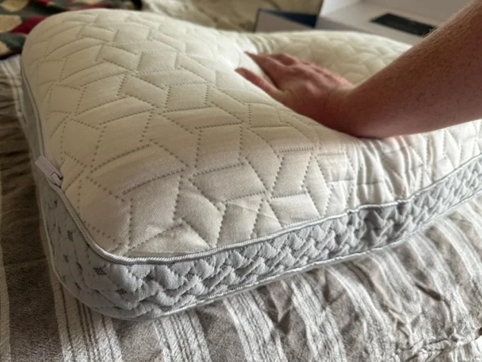 Luxome LAYR Customizable Pillow