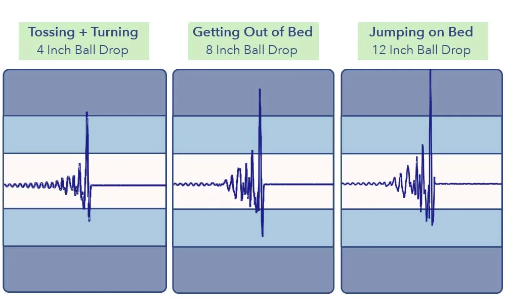 Cloverlane Hybrid Seismograph