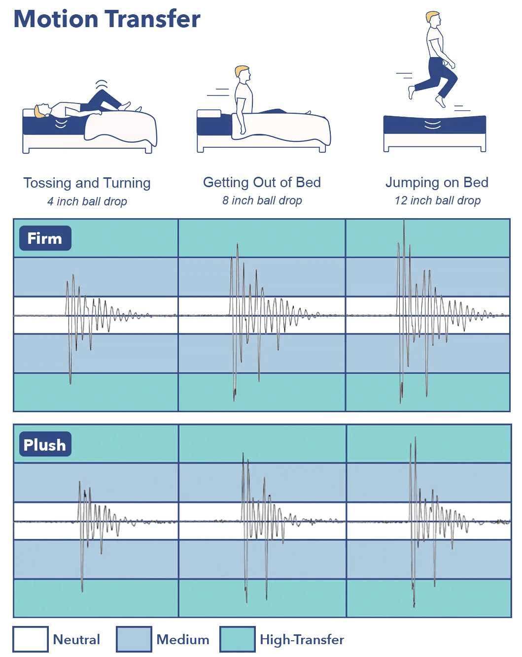 MotionTransfer_Zenhaven2