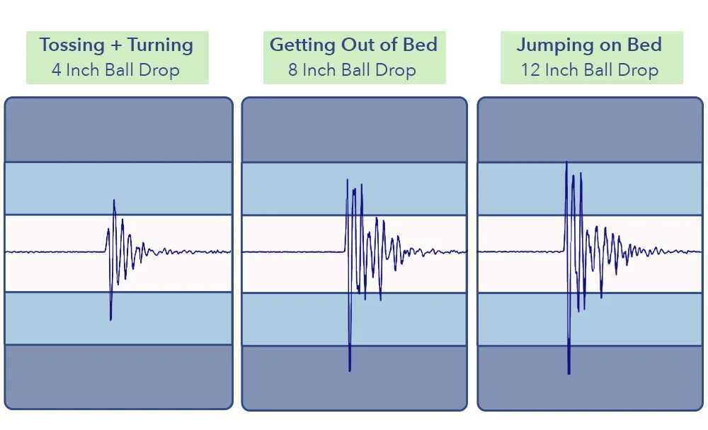 BrooklynBloomnMotion