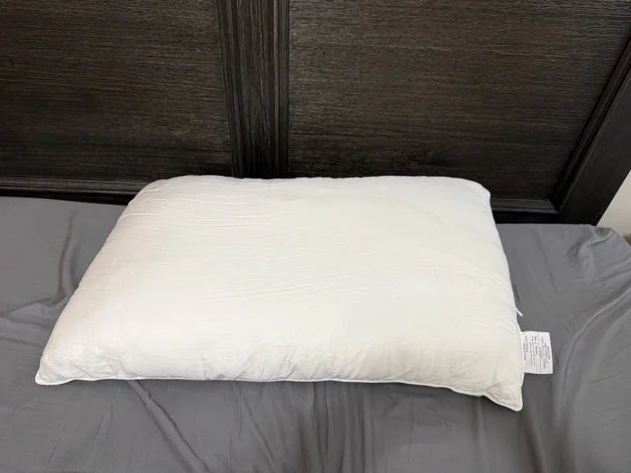 Cozy Silk Earth Pillow Product Pic
