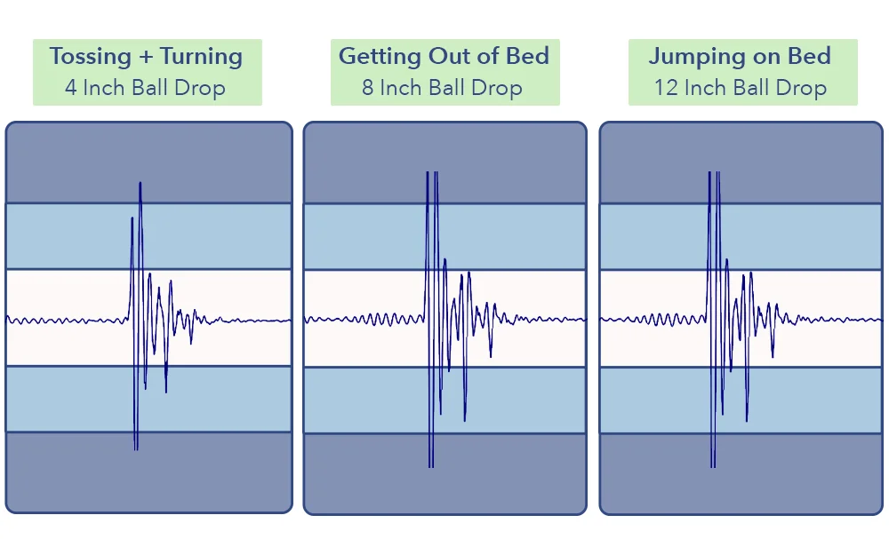 Parachute Motion Transfer