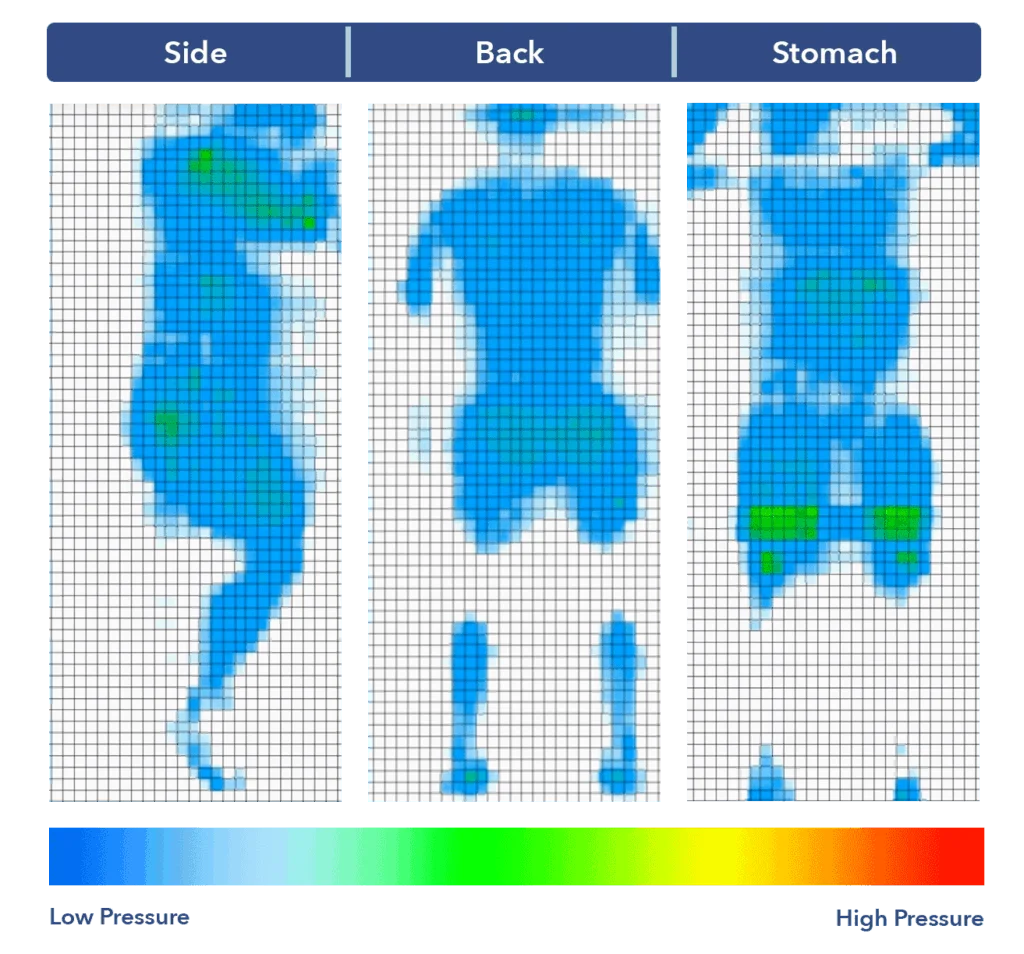 Level Sleep pressure map